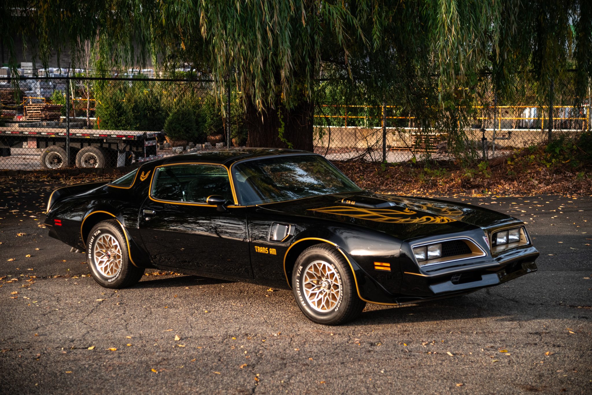 新品 1977 Pontiac Trans Am 1977 Pontiac Firebird | RK Motors Classic Cars and Muscle